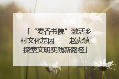 “麦香书院”激活乡村文化基因——赵虎镇探索文明实践新路径