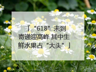 “618”未到 寄递迎高峰 其中生鲜水果占“大头”