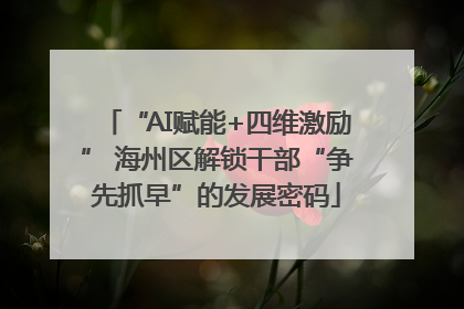 “AI赋能+四维激励” 海州区解锁干部“争先抓早”的发展密码