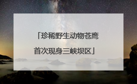 珍稀野生动物苍鹰首次现身三峡坝区