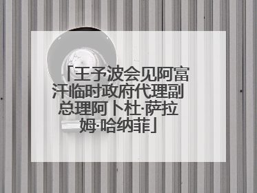 王予波会见阿富汗临时政府代理副总理阿卜杜·萨拉姆·哈纳菲