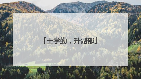 王学勤，升副部