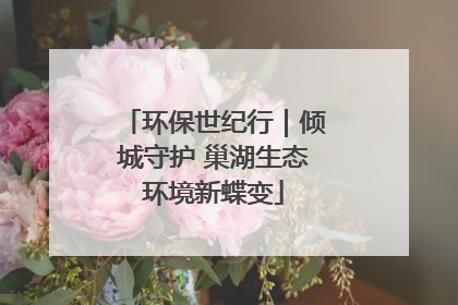 环保世纪行｜倾城守护 巢湖生态环境新蝶变