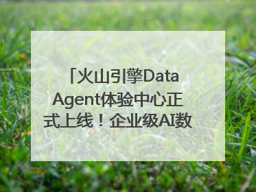 火山引擎Data Agent体验中心正式上线！企业级AI数据专家触手可及