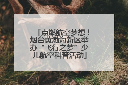 点燃航空梦想！烟台黄渤海新区举办“飞行之梦”少儿航空科普活动