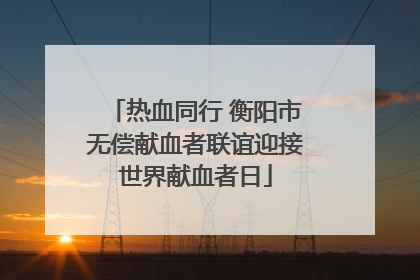 热血同行 衡阳市无偿献血者联谊迎接世界献血者日