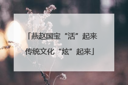燕赵国宝“活”起来 传统文化“炫”起来