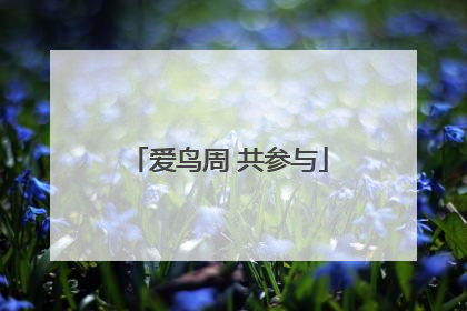 爱鸟周 共参与