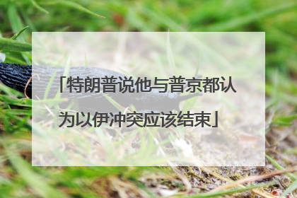 特朗普说他与普京都认为以伊冲突应该结束