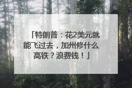 特朗普：花2美元就能飞过去，加州修什么高铁？浪费钱！