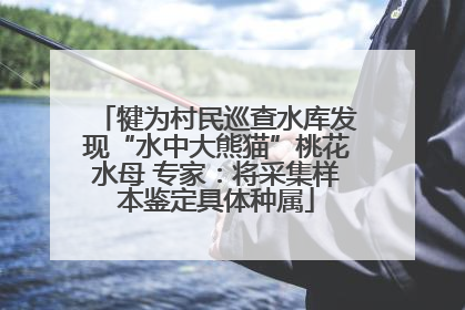 犍为村民巡查水库发现“水中大熊猫”桃花水母 专家：将采集样本鉴定具体种属