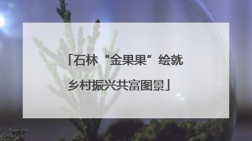石林“金果果”绘就乡村振兴共富图景