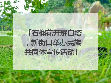 石榴花开耀白塔，新街口举办民族共同体宣传活动