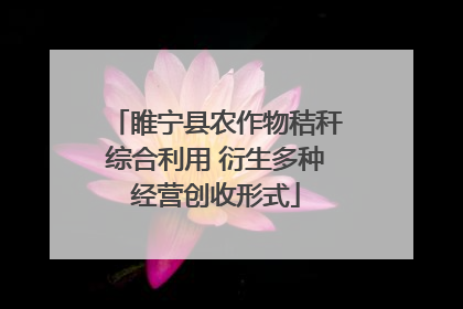 睢宁县农作物秸秆综合利用 衍生多种经营创收形式