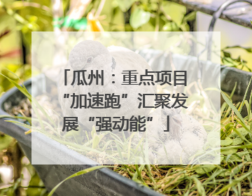 瓜州：重点项目“加速跑”汇聚发展“强动能”