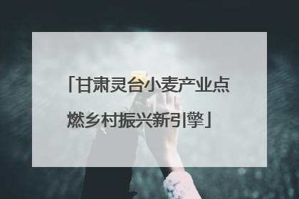 甘肃灵台小麦产业点燃乡村振兴新引擎