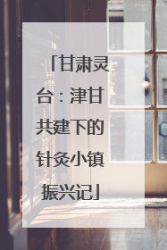 甘肃灵台：津甘共建下的针灸小镇振兴记