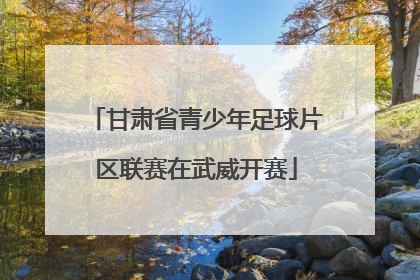 甘肃省青少年足球片区联赛在武威开赛