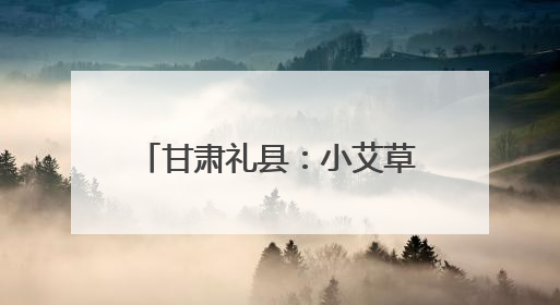 甘肃礼县：小艾草“链”上大产业