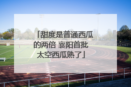 甜度是普通西瓜的两倍 襄阳首批太空西瓜熟了