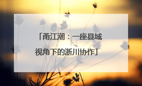 甬江潮：一座县域视角下的浙川协作