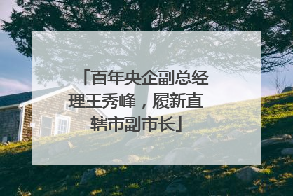 百年央企副总经理王秀峰，履新直辖市副市长