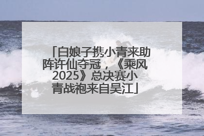 白娘子携小青来助阵许仙夺冠，《乘风2025》总决赛小青战袍来自吴江