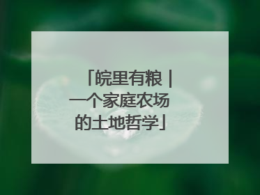 皖里有粮｜一个家庭农场的土地哲学