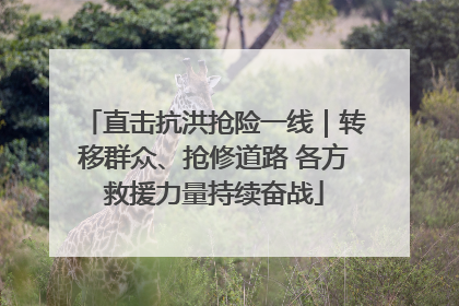直击抗洪抢险一线｜转移群众、抢修道路 各方救援力量持续奋战