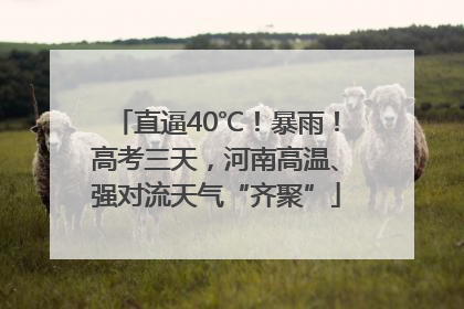 直逼40℃！暴雨！高考三天，河南高温、强对流天气“齐聚”