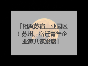 相聚苏宿工业园区！苏州、宿迁青年企业家共谋发展