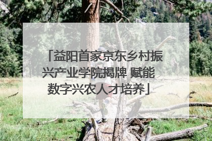 益阳首家京东乡村振兴产业学院揭牌 赋能数字兴农人才培养