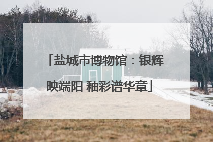 盐城市博物馆：银辉映端阳 釉彩谱华章