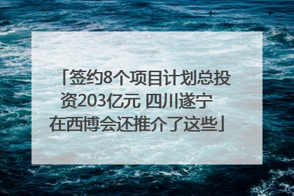 签约8个项目计划总投资203亿元 四川遂宁在西博会还推介了这些