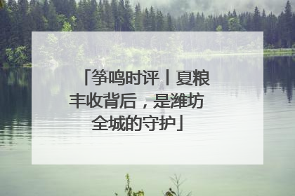 筝鸣时评丨夏粮丰收背后，是潍坊全城的守护