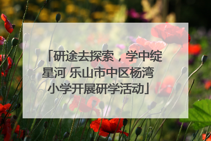 研途去探索，学中绽星河 乐山市中区杨湾小学开展研学活动