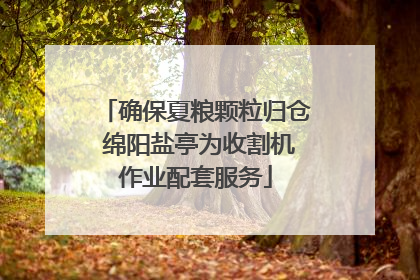 确保夏粮颗粒归仓 绵阳盐亭为收割机作业配套服务