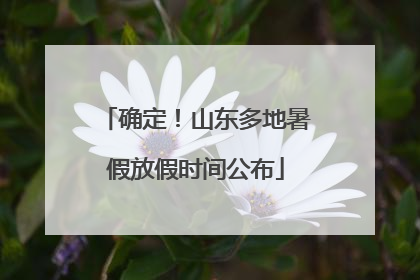 确定！山东多地暑假放假时间公布