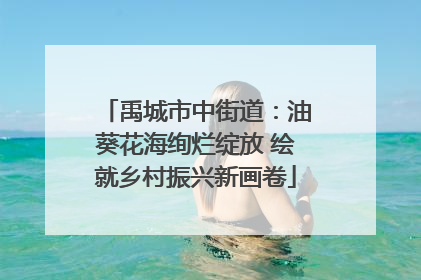 禹城市中街道：油葵花海绚烂绽放 绘就乡村振兴新画卷