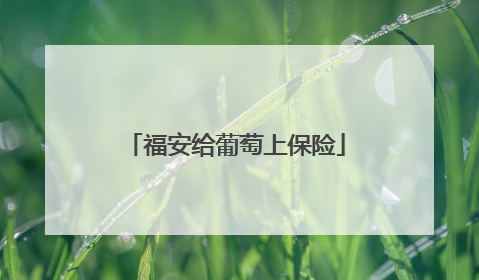 福安给葡萄上保险