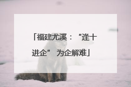 福建尤溪：“逢十进企” 为企解难