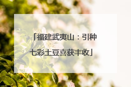 福建武夷山：引种七彩土豆喜获丰收