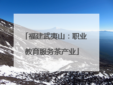 福建武夷山：职业教育服务茶产业