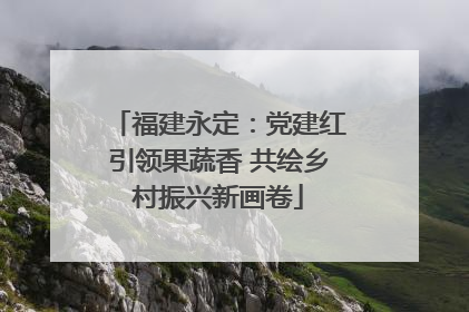 福建永定：党建红引领果蔬香 共绘乡村振兴新画卷