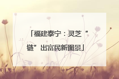 福建泰宁：灵芝“链”出富民新图景