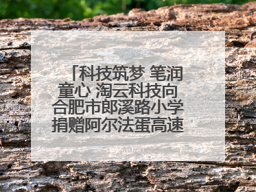 科技筑梦 笔润童心 淘云科技向合肥市郎溪路小学捐赠阿尔法蛋高速词典笔