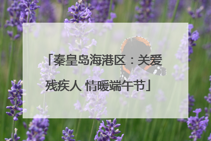 秦皇岛海港区：关爱残疾人 情暖端午节