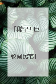稀罕！巨轮闯民宅