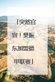 突然官宣！樊振东加盟德甲联赛