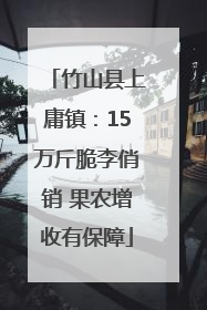 竹山县上庸镇：15万斤脆李俏销 果农增收有保障